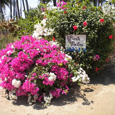 Playa Junquillal Plumita Pacifica 아파트 외부 사진