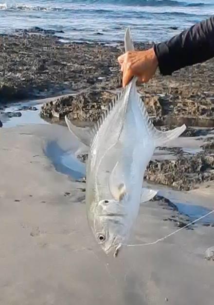 Playa Junquillal Plumita Pacifica 아파트 외부 사진