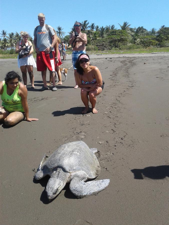 Playa Junquillal Plumita Pacifica 아파트 외부 사진