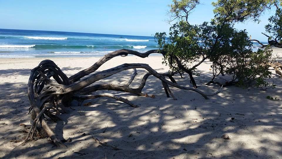 Playa Junquillal Plumita Pacifica 아파트 외부 사진